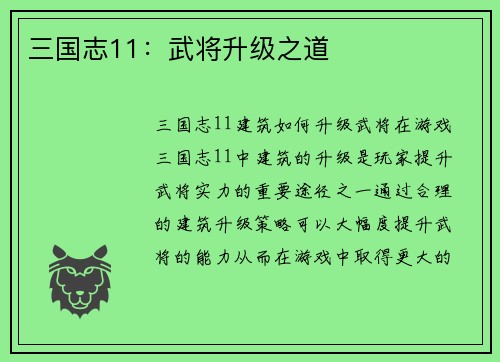 三国志11：武将升级之道
