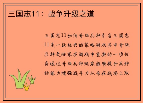 三国志11：战争升级之道