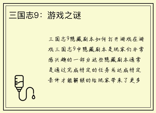三国志9：游戏之谜