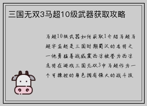 三国无双3马超10级武器获取攻略